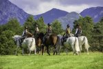 Try horseback riding right off the Lake Wenatchee State Park